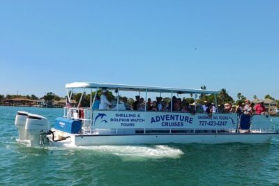 Dolphin /Shelling/Snorkeling tours Private Charters - The boat setup: shade, bathroom access, and practical comfort
