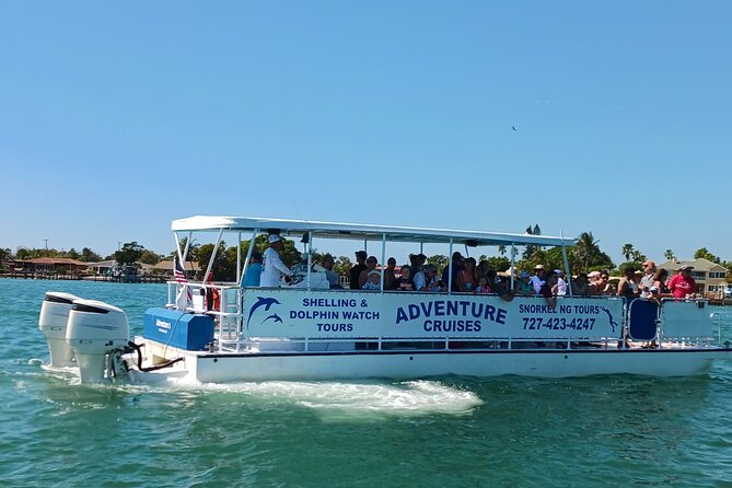 Dolphin /Shelling/Snorkeling tours Private Charters - The boat setup: shade, bathroom access, and practical comfort