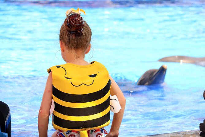 Dolphin Show & Photoshoot Package with Transfer from Hurghada - Key highlights