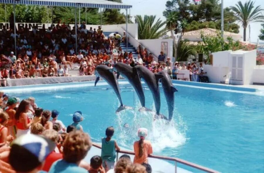 Dolphin Show Tour with Transfer from Alanya & Side - Getting To The Dolphin Facility Without A Day-Wrecker