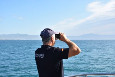 Dolphin Sightseeing Boat Tour from Benalmadena - The part I’d plan around: watching and timing on a moving boat
