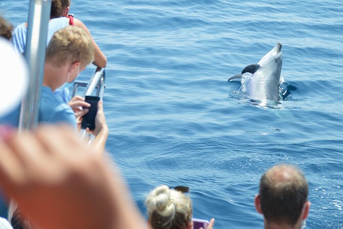 Dolphin Sightseeing Boat Tour from Benalmadena - Price and value: why ~$22.93 can still feel fair