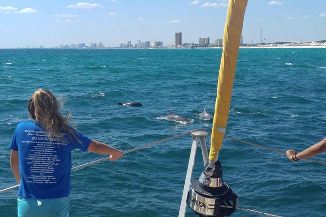Dolphin Sightseeing on the Privateer Catamaran - Key things that make this cruise worth your time