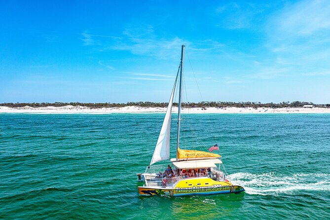 Dolphin Sightseeing Tour on the Footloose Catamaran - Key things to know before you go on Footloose