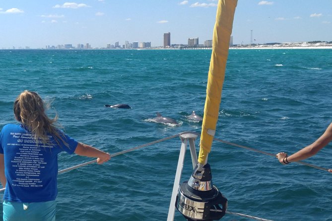Dolphin Sightseeing Tour on the Footloose Catamaran - The Footloose experience: what a 1.5-hour dolphin sail is really like