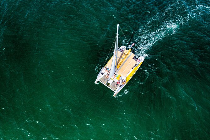 Dolphin Sightseeing Tour on the Footloose Catamaran - Weather reality: what happens if conditions turn