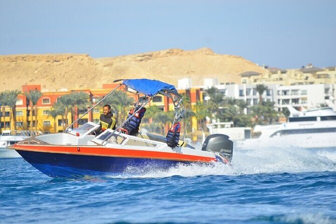 Dolphin Snorkel With private Speed Boat & Water Sports - Hurghada - Underwater Finds: Rays, Jellyfish, Shipwreck, And Colorful Fish