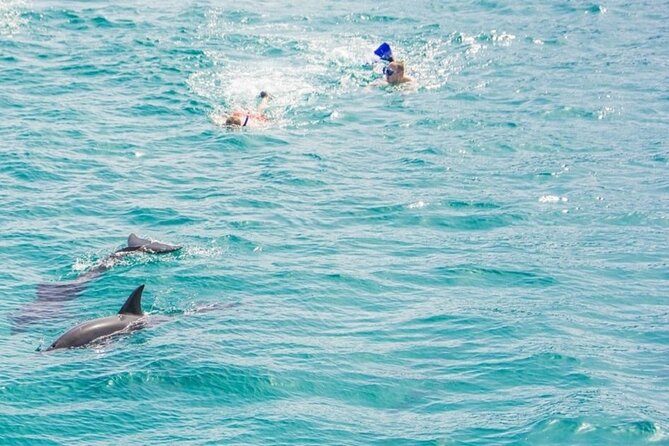 Dolphin Snorkel With private Speed Boat & Water Sports - Hurghada - Boat Comfort And Safety: Gear, Life Vests, And A Clean Ship