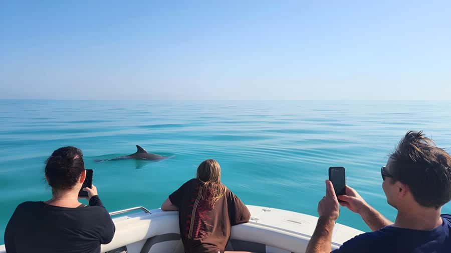Dolphin & Snorkeling Key West - Why This 3-Hour Key West Dolphin and Snorkel Tour Works