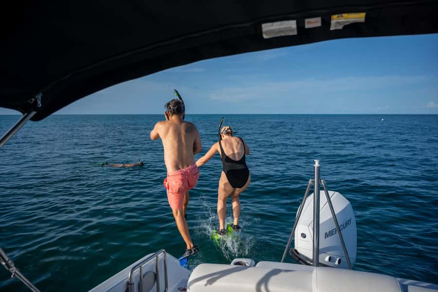 Dolphin & Snorkeling Key West - Snorkeling Off Key West: Comfortable for First-Timers
