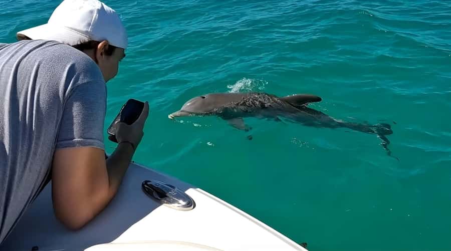 Dolphin & Snorkeling Key West - Who This Tour Suits Best