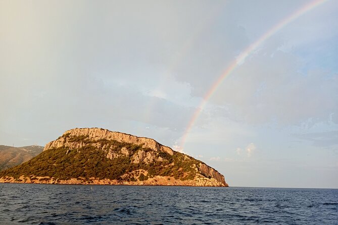 Dolphin spotting in the Gulf of Olbia - Water time and snorkeling: how to plan for getting wet
