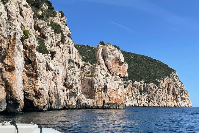 Dolphin spotting in the Gulf of Olbia - Who should book this dolphin spotting in the Gulf of Olbia