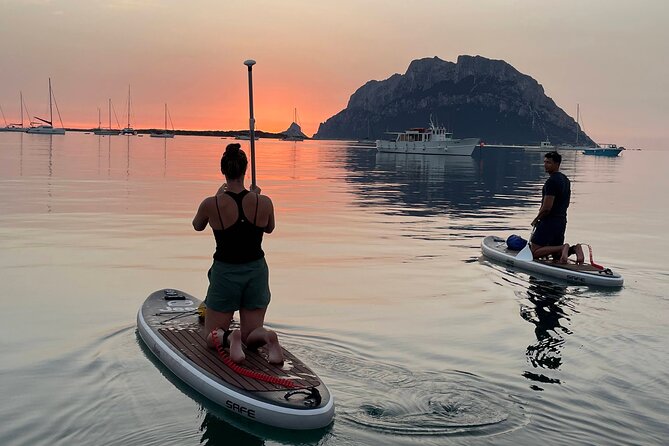Dolphin-spotting SUP tour with Golfo Aranci aperitif - Why Golfo Aranci Feels Built for SUP