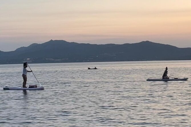 Dolphin-spotting SUP tour with Golfo Aranci aperitif - Getting Ready at Spiaggia dei Baracconi (and Why the Lesson Matters)