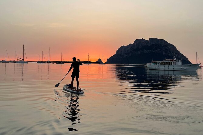 Dolphin-spotting SUP tour with Golfo Aranci aperitif - Wildlife Stops for Relaxation (and a Little Water Time)