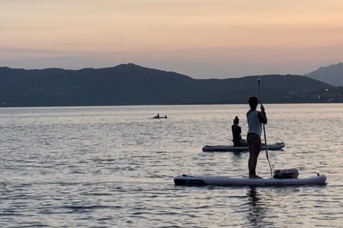 Dolphin-spotting SUP tour with Golfo Aranci aperitif - Small-Group Energy and the Role of Local Guides