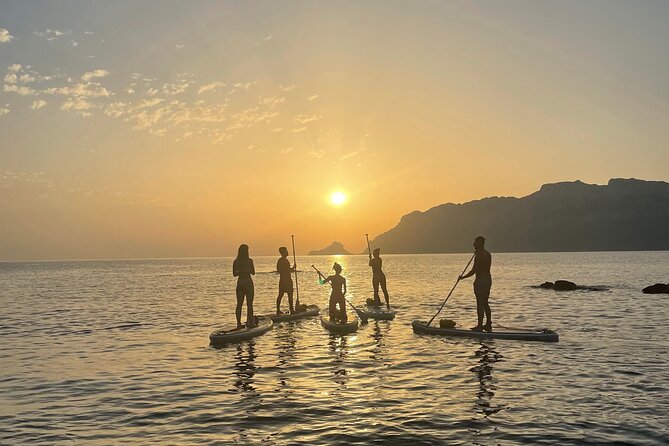 Dolphin-spotting SUP tour with Golfo Aranci aperitif - Equipment, What’s Included, and What You Still Need