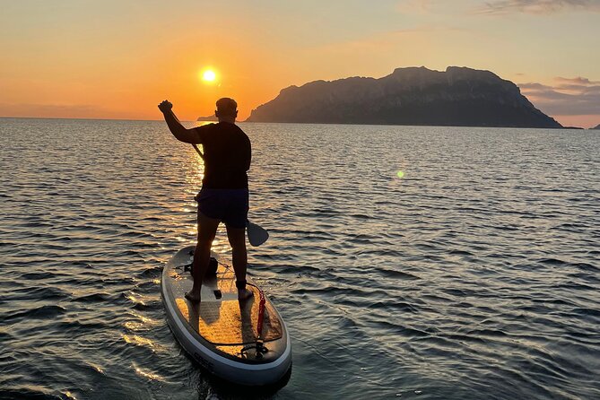 Dolphin-spotting SUP tour with Golfo Aranci aperitif - Price and Value: Is $71.15 a Good Deal?