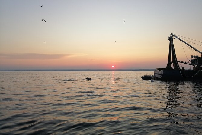 Dolphin Sunrise Adventure with Speedboat - What you can expect once you’re out on the water