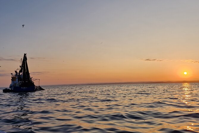Dolphin Sunrise Adventure with Speedboat - The fish boats moment: why dolphins show up so early