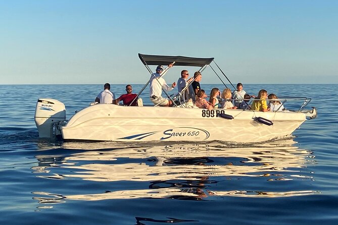 Dolphin Sunrise Adventure with Speedboat - Watching dolphins well: what the guide helps you notice