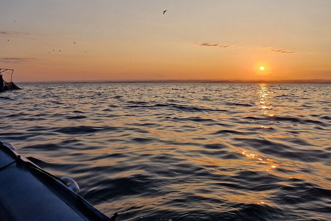 Dolphin Sunrise Adventure with Speedboat - Group size and the “small boat” experience