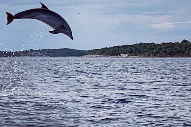 Dolphin Sunset Adventure with Speedboat - Key Things I’d Plan For