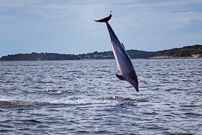 Dolphin Sunset Adventure with Speedboat - Sunset Speedboat Dolphin Adventure: What You’re Really Buying