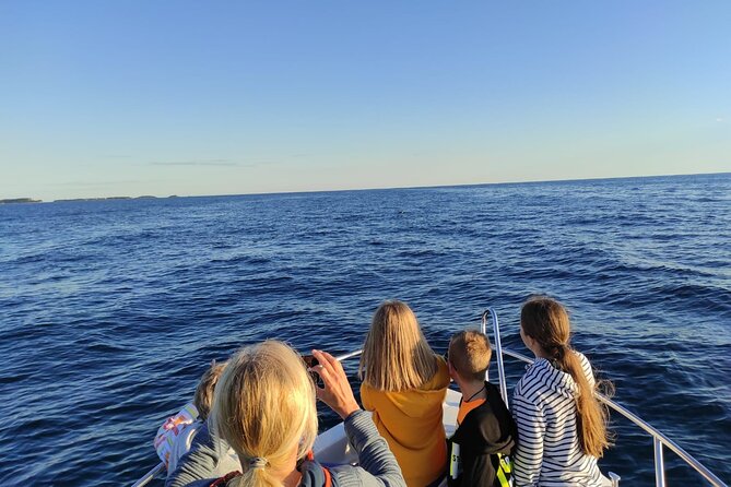 Dolphin Sunset Adventure with Speedboat - Watching Dolphins From a Respectful Distance (and Actually Seeing the Jumps)