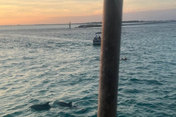Dolphin & Sunset Cruises - Key Things I’d Bookmark Before You Go