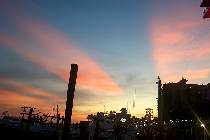 Dolphin & Sunset Cruises in Destin FL aboard the Hydrojet - Dolphins on the route: what close-up really means