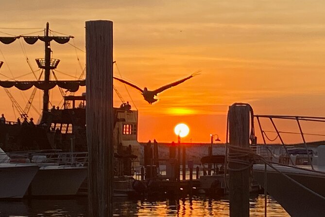 Dolphin & Sunset Cruises in Destin FL aboard the Hydrojet - Who should pick this Hydrojet cruise in Destin