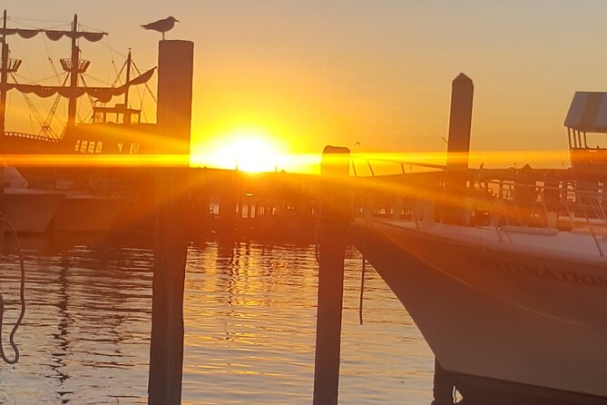 Dolphin & Sunset Cruises in Destin FL aboard the Hydrojet - Practical tips: height rules, packing smart, and getting great photos