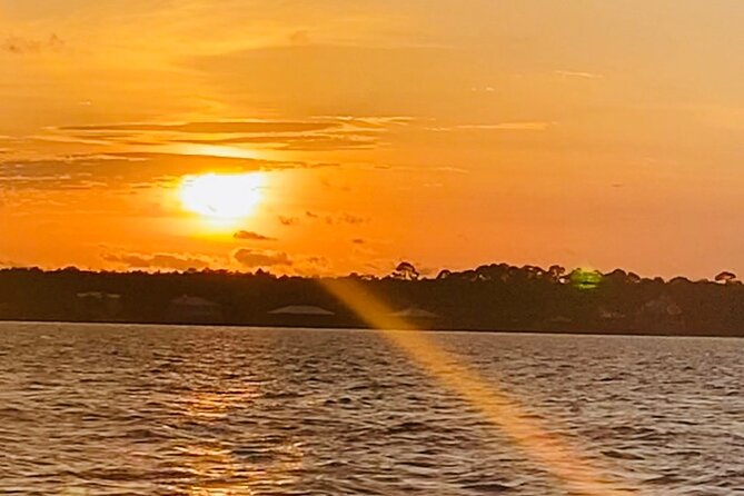 Dolphin Sunset Tour in Orange Beach - Key highlights worth penciling in
