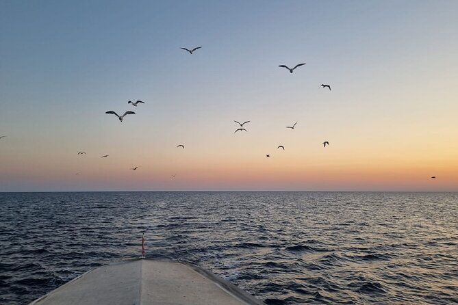 Dolphin & Sunset tour with Brijuni panorama - Group size, English guidance, and onboard comfort