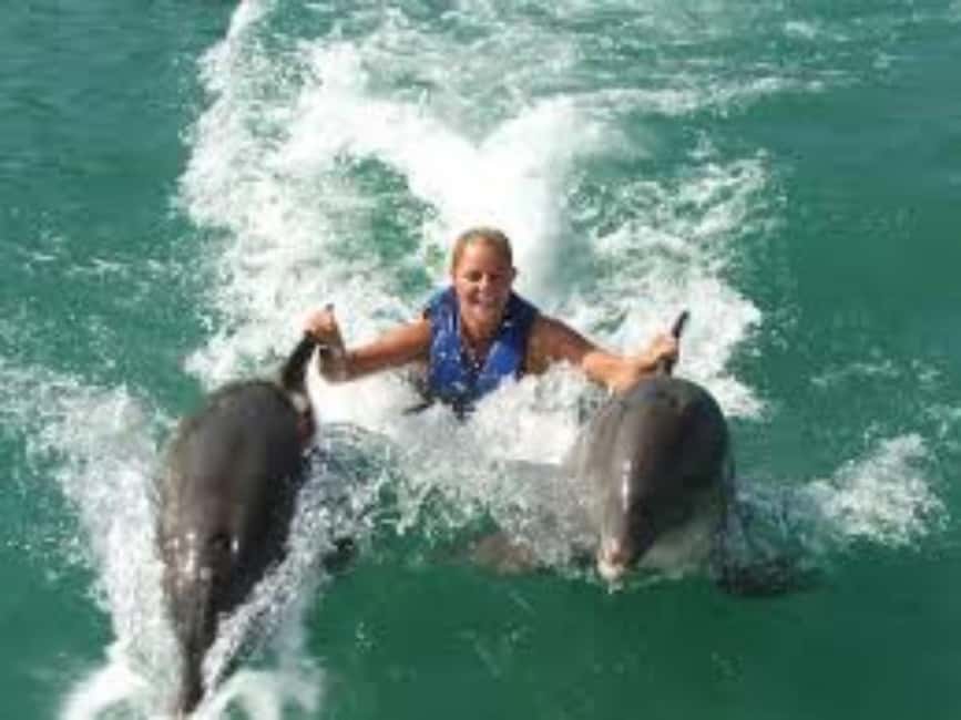 Dolphin Swim Adventure - Key Highlights You’ll Feel Immediately