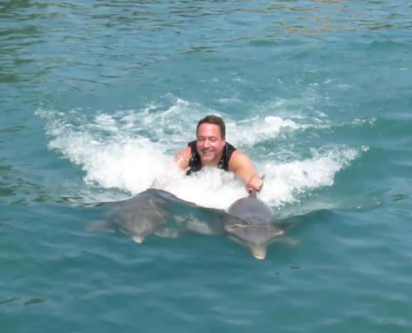 Dolphin Swim Adventure - Cornwall County Pickup and Fast-Track Entry to Dolphin Cove Adventure