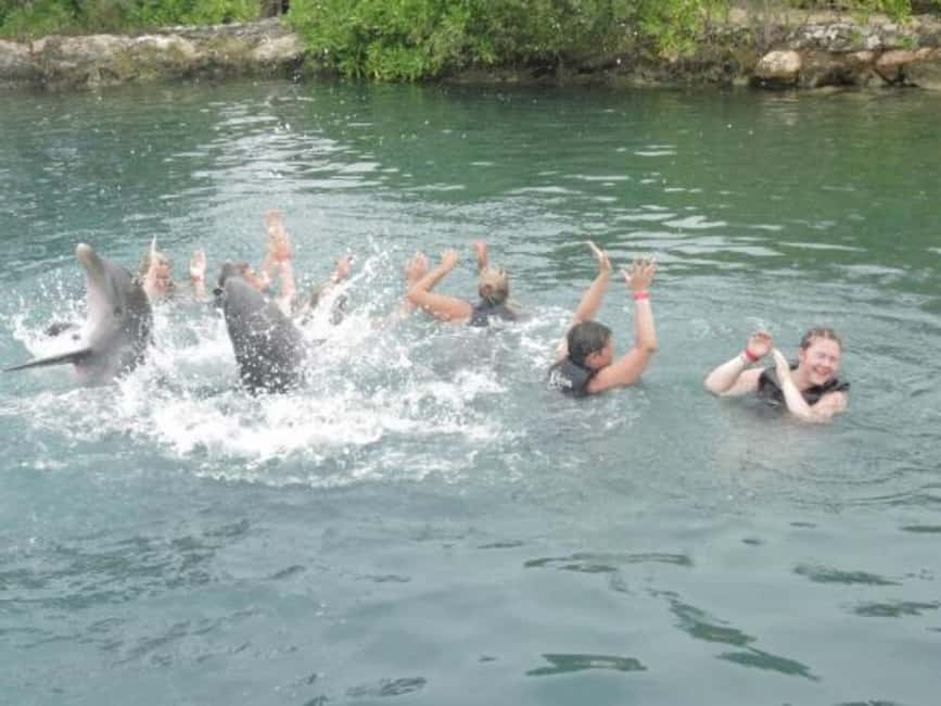 Dolphin Swim Adventure - In the Lagoon: Swimming With Dolphins and the Listed Interaction Moments
