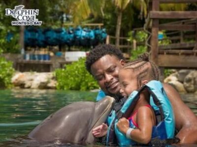Dolphin Swim Adventure - The 3-Hour Structure: Learning Dolphin Behavior Before You Go In