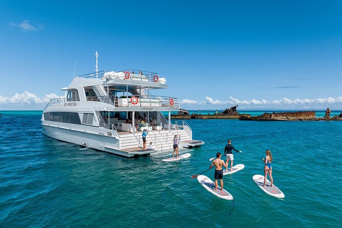 Dolphin & Tangalooma Wrecks Snorkel Cruise & Lunch - Gold Coast - Key highlights that matter