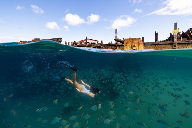 Dolphin & Tangalooma Wrecks Snorkel Cruise & Lunch - Gold Coast - Weather, timing, and comfort: the stuff that decides your mood