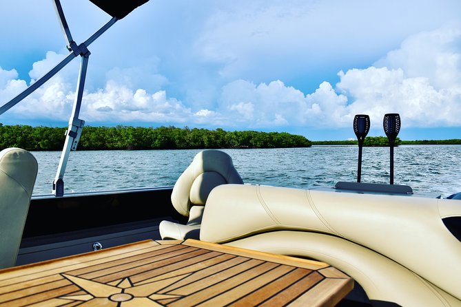 Dolphin Tiki Cruise around Fort Myers Beach - Tiki Cruise basics: 90 minutes, up to 6, and a route built for wildlife