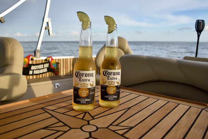 Dolphin Tiki Cruise around Fort Myers Beach - Southward along the mangroves: where the scenery gets quieter and the wildlife odds rise