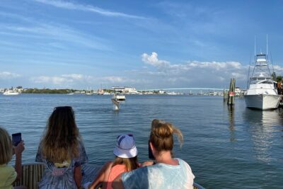 Dolphin Tiki Cruise around Fort Myers Beach - North-end departure: views of Fort Myers Beach plus the human side of the bay