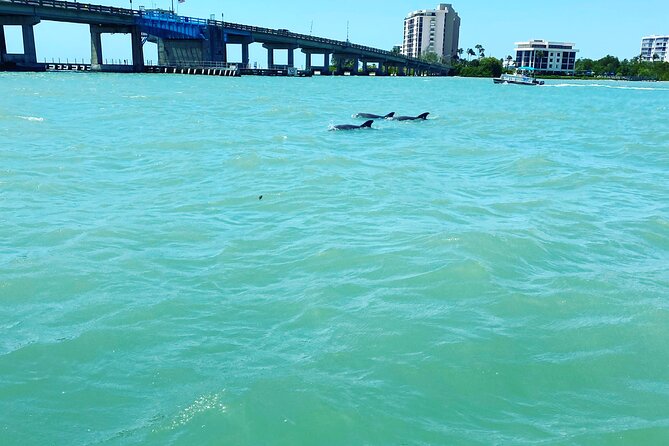 Dolphin Tiki Cruise around Fort Myers Beach - Comfort details that actually affect your experience