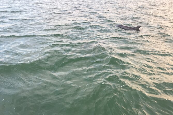 Dolphin Tiki Cruise around Fort Myers Beach - Price and value: $350 per group works when you travel with the right crew