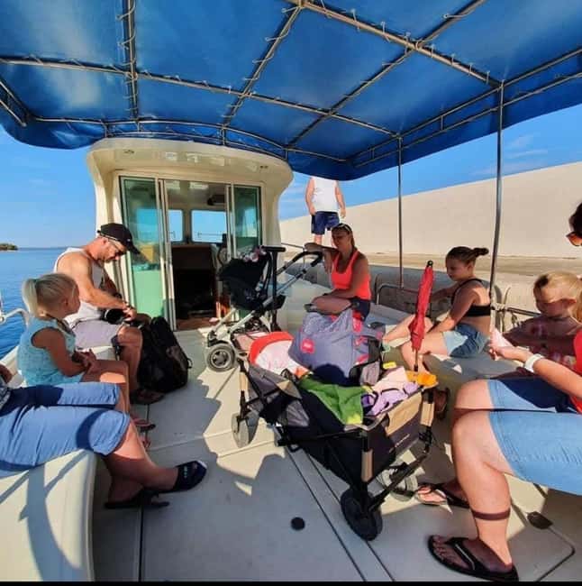 Dolphin tour 2 hours - A 2-Hour Dolphin Reserve Chase from Small Port Zaton