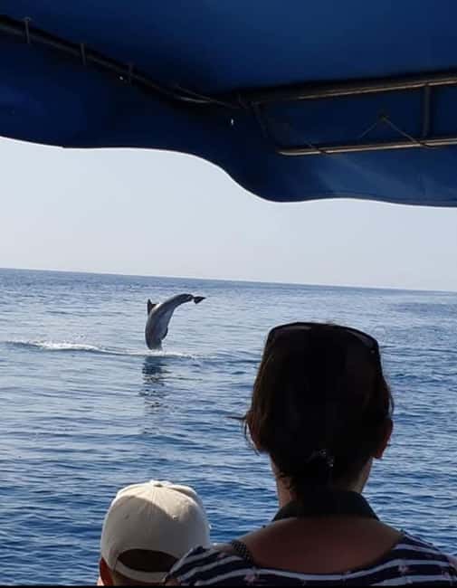 Dolphin tour 2 hours - How Timing Works: Zaton Camp at 14:00, Zaton Village at 14:15