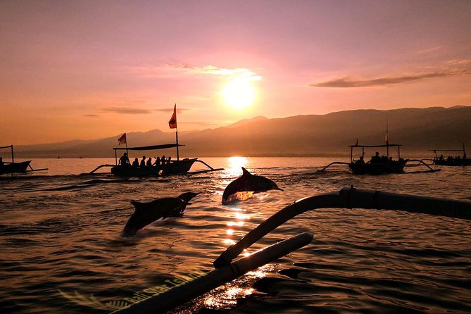 Dolphin Tour and Sunrise Watching in Lovina Beach - All Inclusive - Key things to know before you go